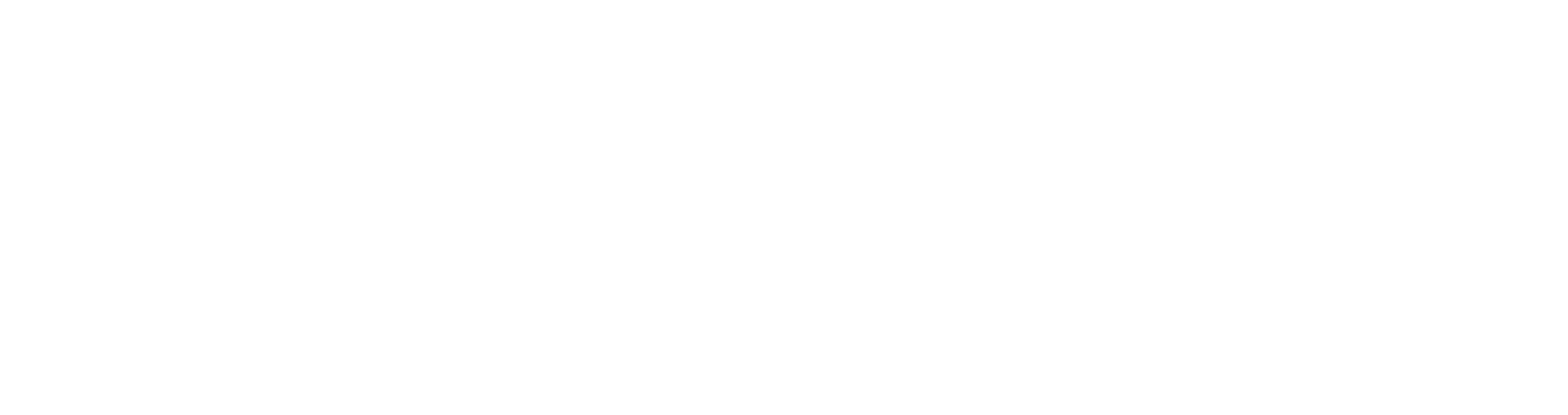 J&T Cargo